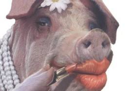 Lipstick-on-a-pig.jpg