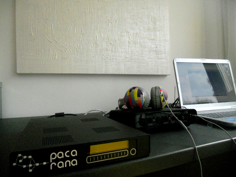 Pacarana-Roland Kuit.JPG